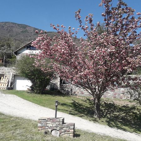 La Petite Chataigne Valdeblore Exteriör bild