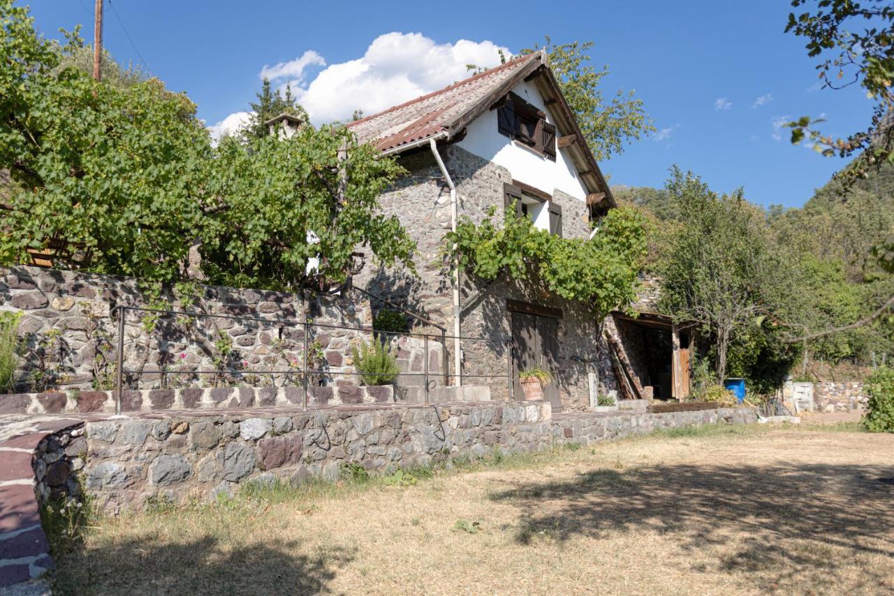 La Petite Chataigne Valdeblore Exteriör bild