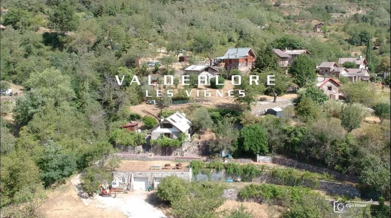 La Petite Chataigne Valdeblore Exteriör bild