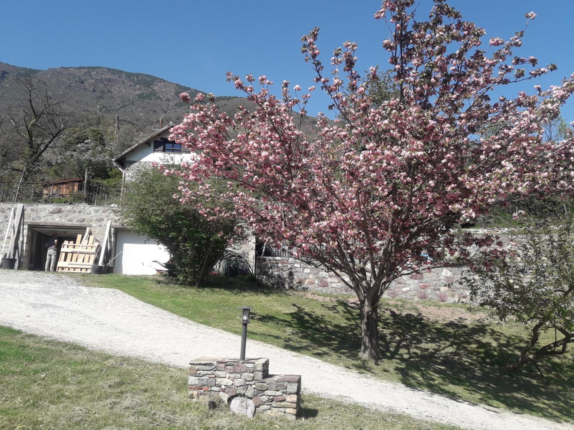 La Petite Chataigne Valdeblore Exteriör bild